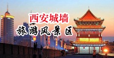 插逼逼视频无码中国陕西-西安城墙旅游风景区